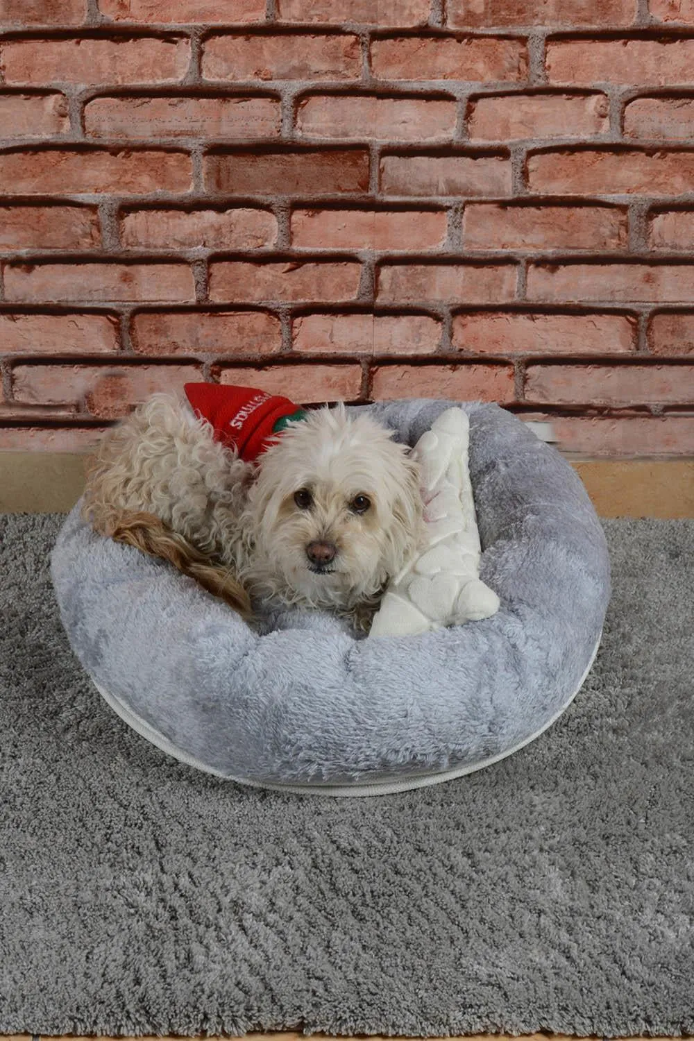 Cookie Pet Sherpa Polar Washable round Dog Cat Bed, 60 Cm, Gray