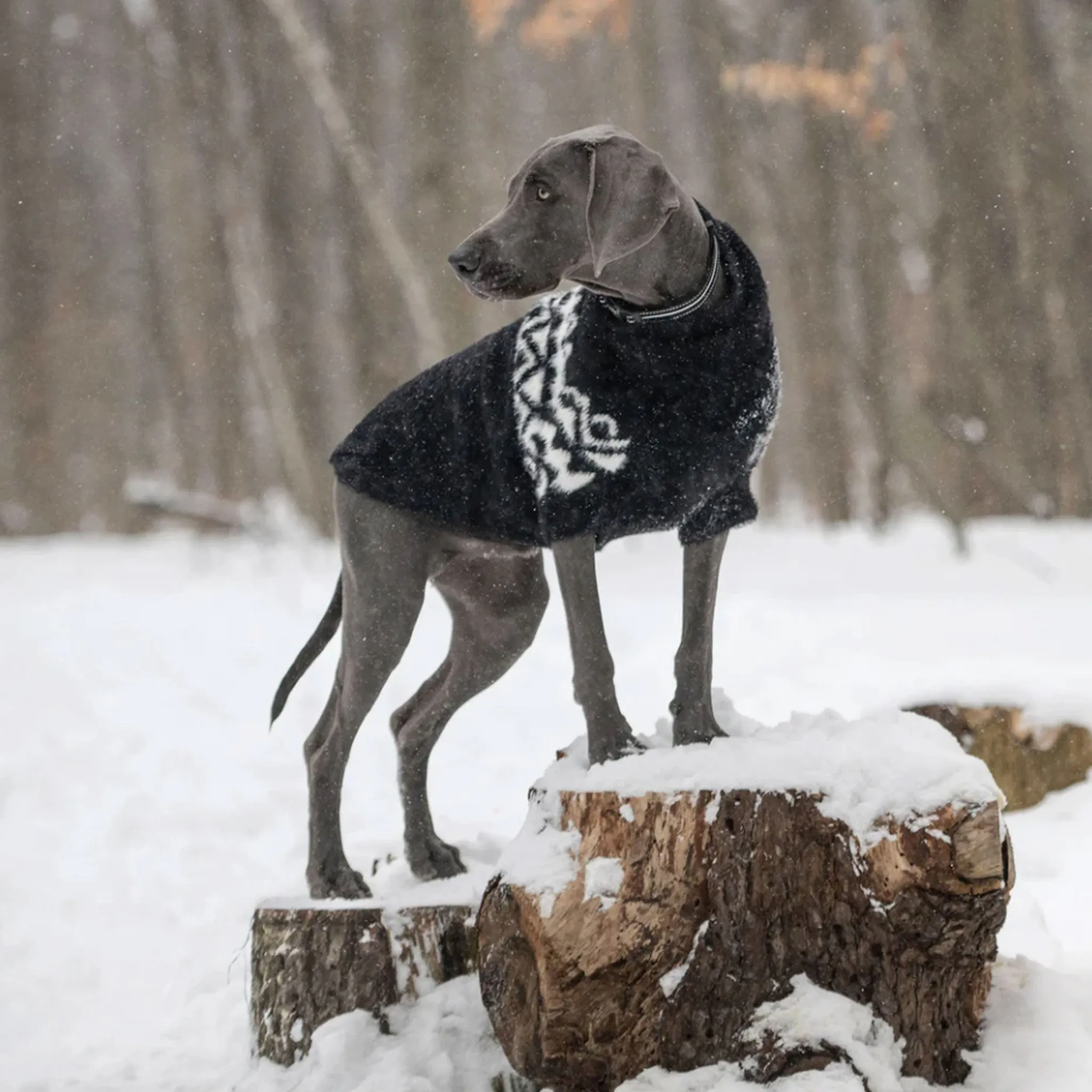 GF Pet Fuzzy Sweater - Black