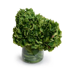 Hydrangea Bouquet in Leaf Lined Glass 13"H