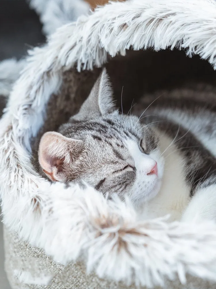 Large Enclosed Soft Fleece Cat Bed