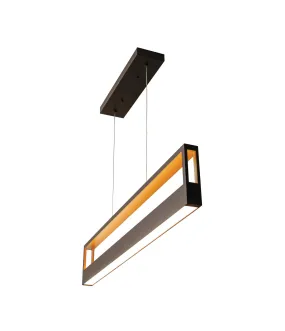 LED Pendant from the Echo Collection in Black & Gold Finish by AFX Lighting