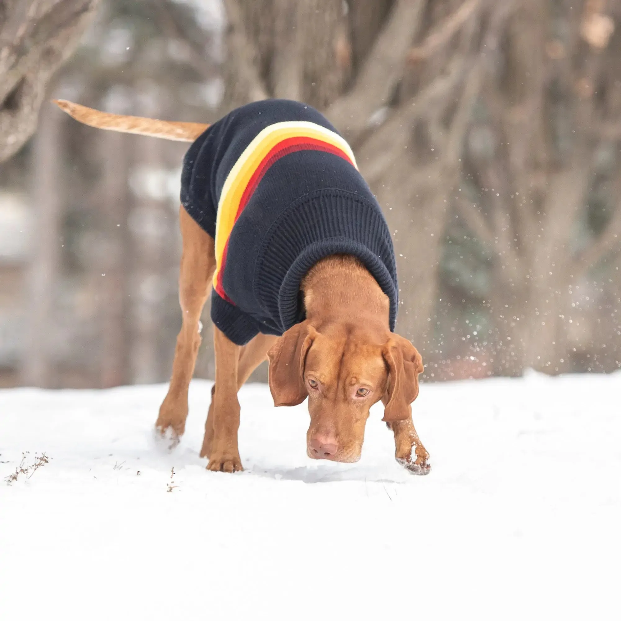 Sculpted Turtleneck Dog Sweater with Retro Design - Navy