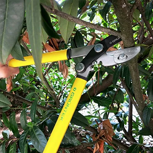 Small and Sharp Anvil Pruning Loppers